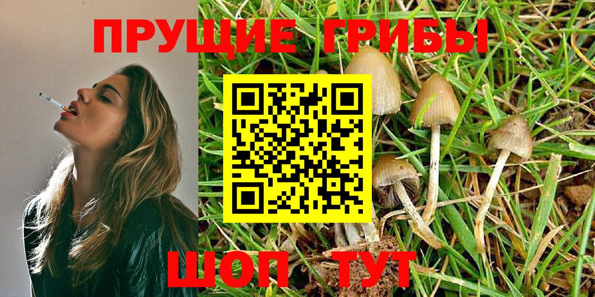 Галлюциногенные грибы Cubensis Кемерово
